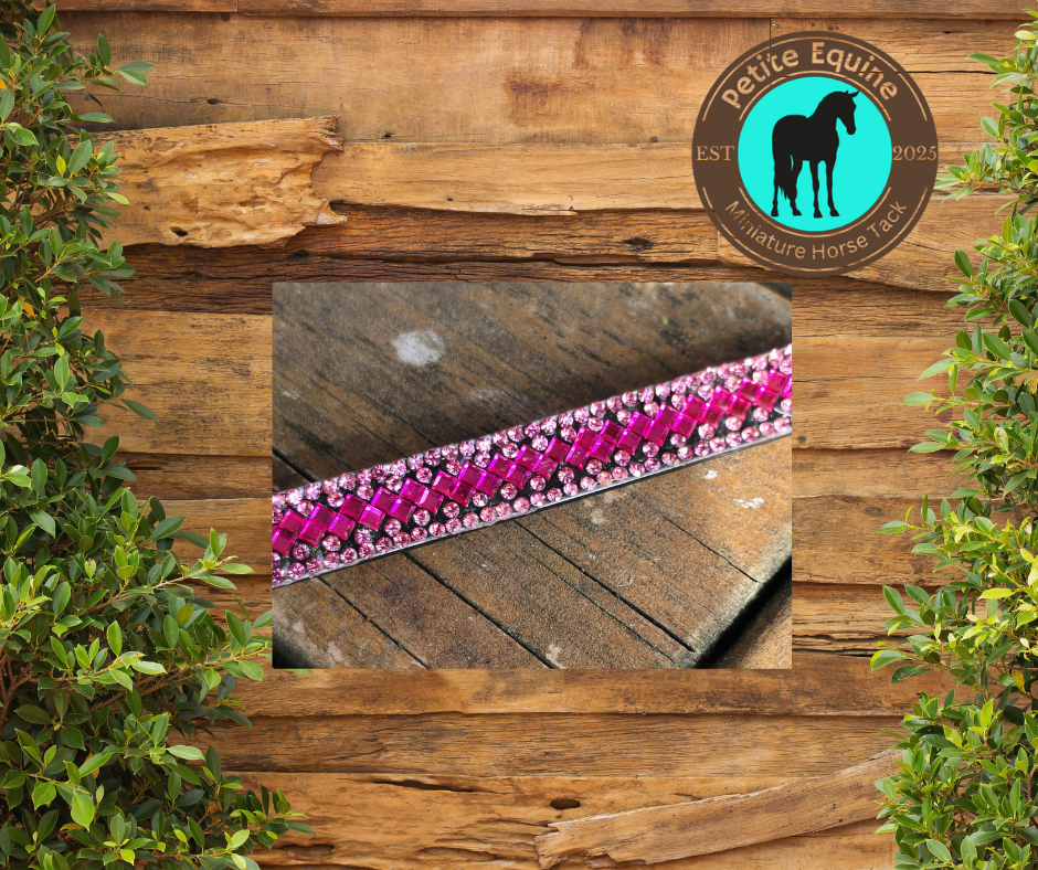 J Hook Rhinestone Noseband -Hot Pink Petite Equine