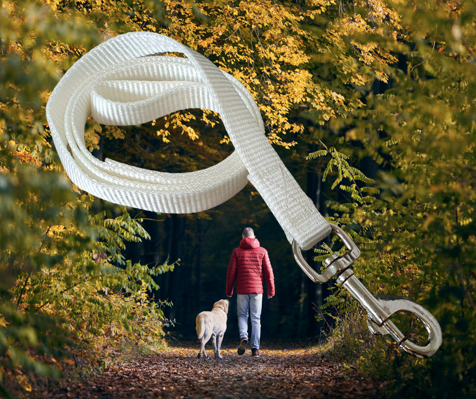 Dog lead- Webbing Precious Pets