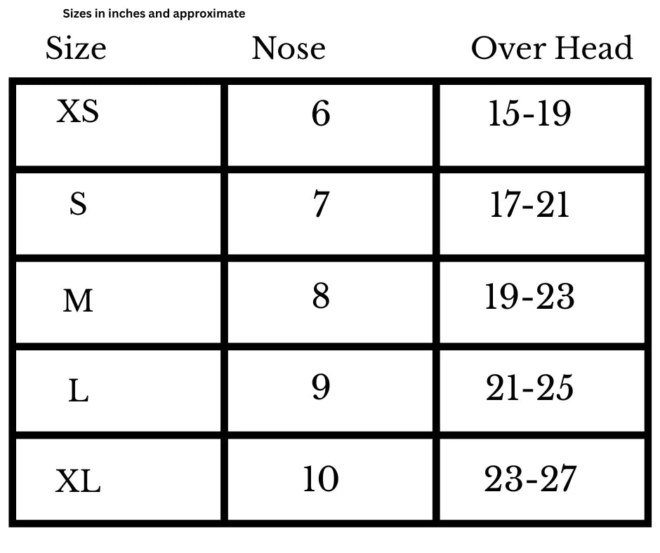 Crown Miniature Horse Show Halters - Aquamarine Petite Equine