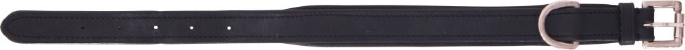 Leather Dog Collar  Foxwood Equestrian | Showing Tack and Saddlery Store