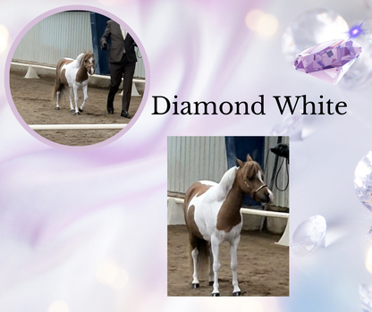 Hurlford Diamond White Rinse Hurlford