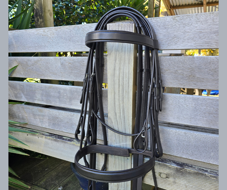 Windsor Weymouth |Havana Brown  Foxwood Equestrian | Showing Tack and Saddlery Store
