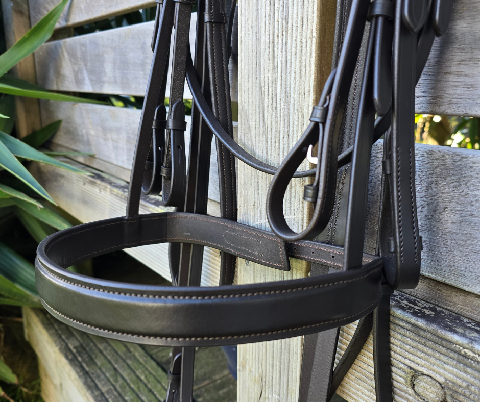 Windsor Weymouth |Havana Brown  Foxwood Equestrian | Showing Tack and Saddlery Store