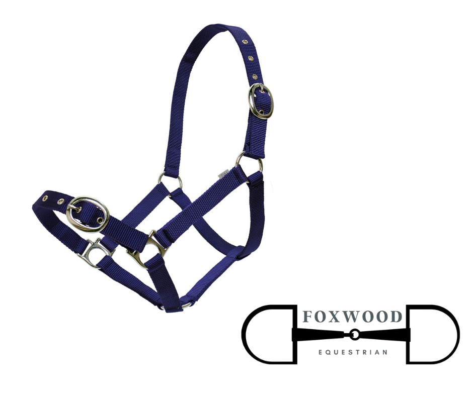 Black Yearling Halter  Foxwood Equestrian | Showing Tack and Saddlery Store