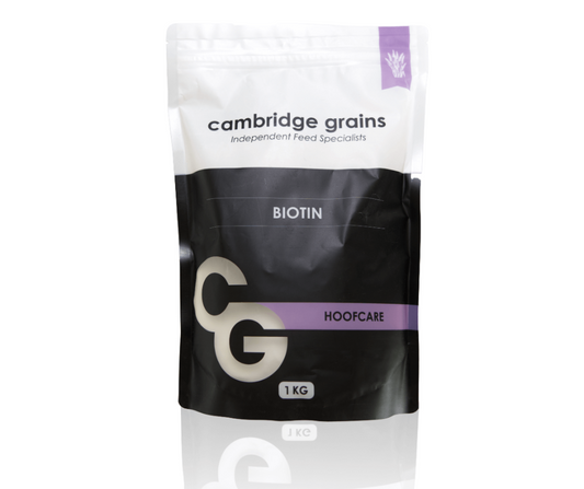 CG Biotin Cambridge Grains