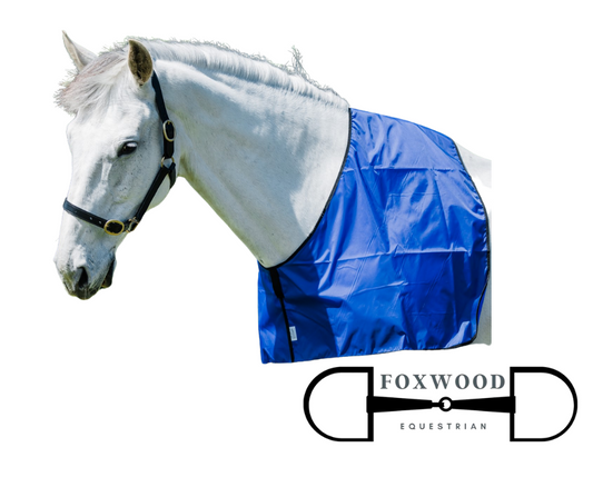 Rub Vest- Large Flair