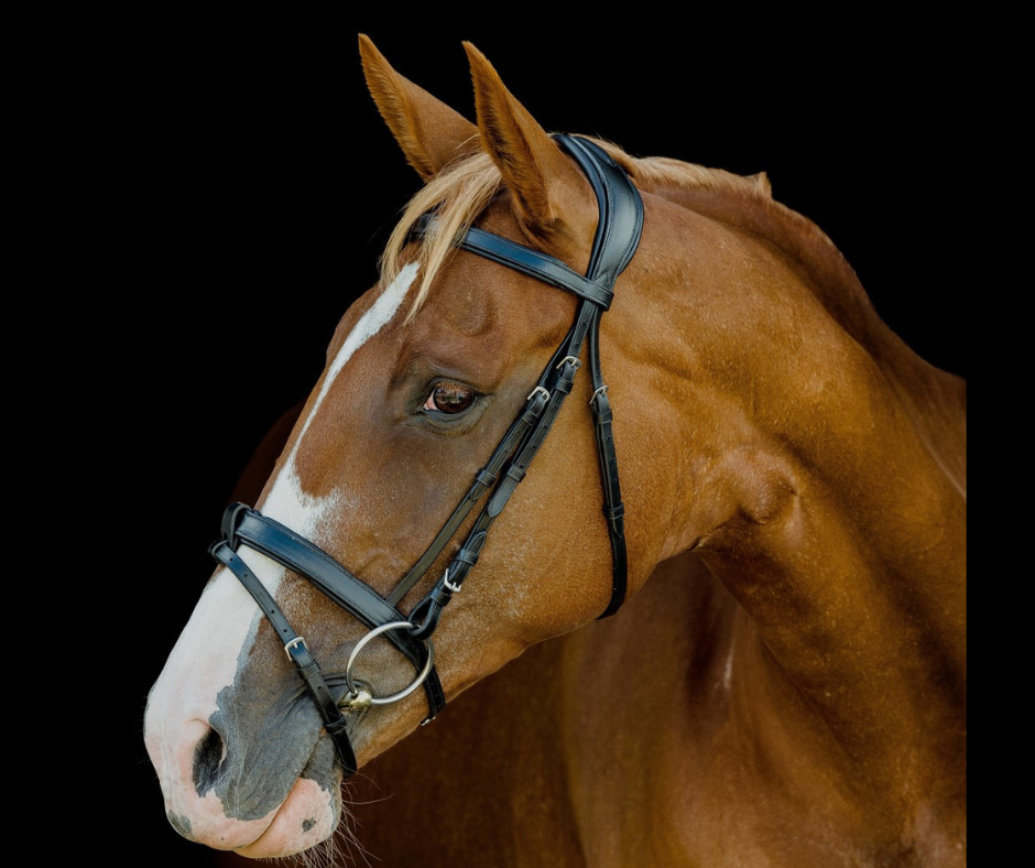 Platinum Anatomical Snaffle Bridle - Black Platinum