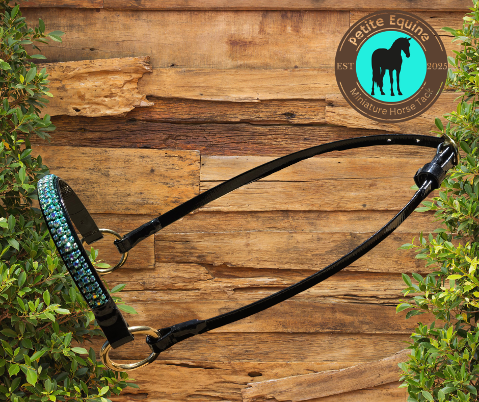 Crown Miniature Horse Show Halters - Aquamarine Petite Equine