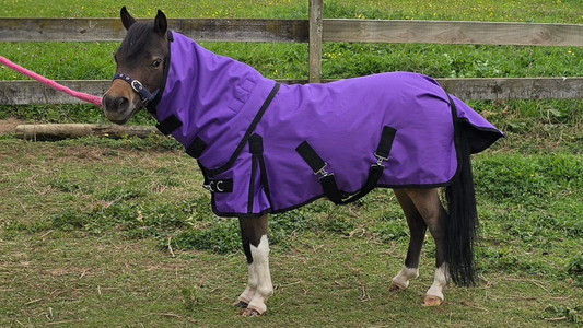 Stormbreaker Winter Rug 100gm Hurlford