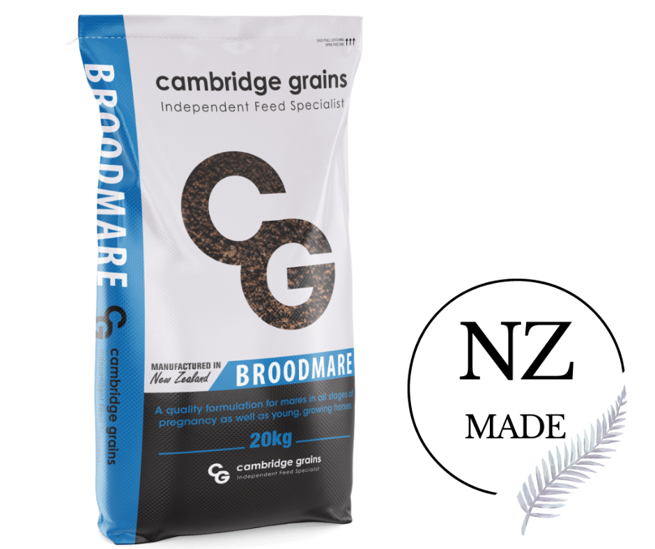 CG Broodmare Cambridge Grains