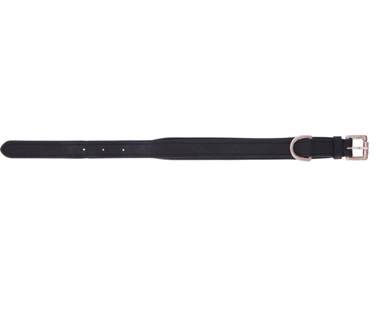 Padded Dog Collar Cavallino