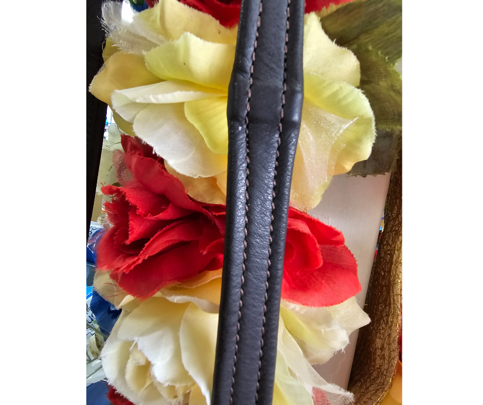 Hurlford Leather Padded Reins- Buckle Ends Hurlford