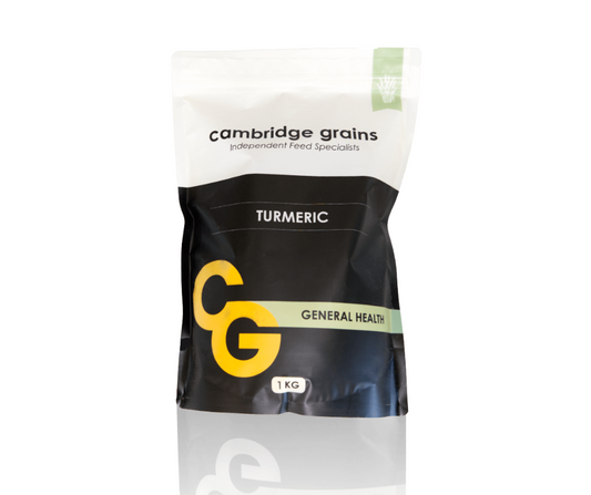 CG Turmeric- 1kg Cambridge Grains