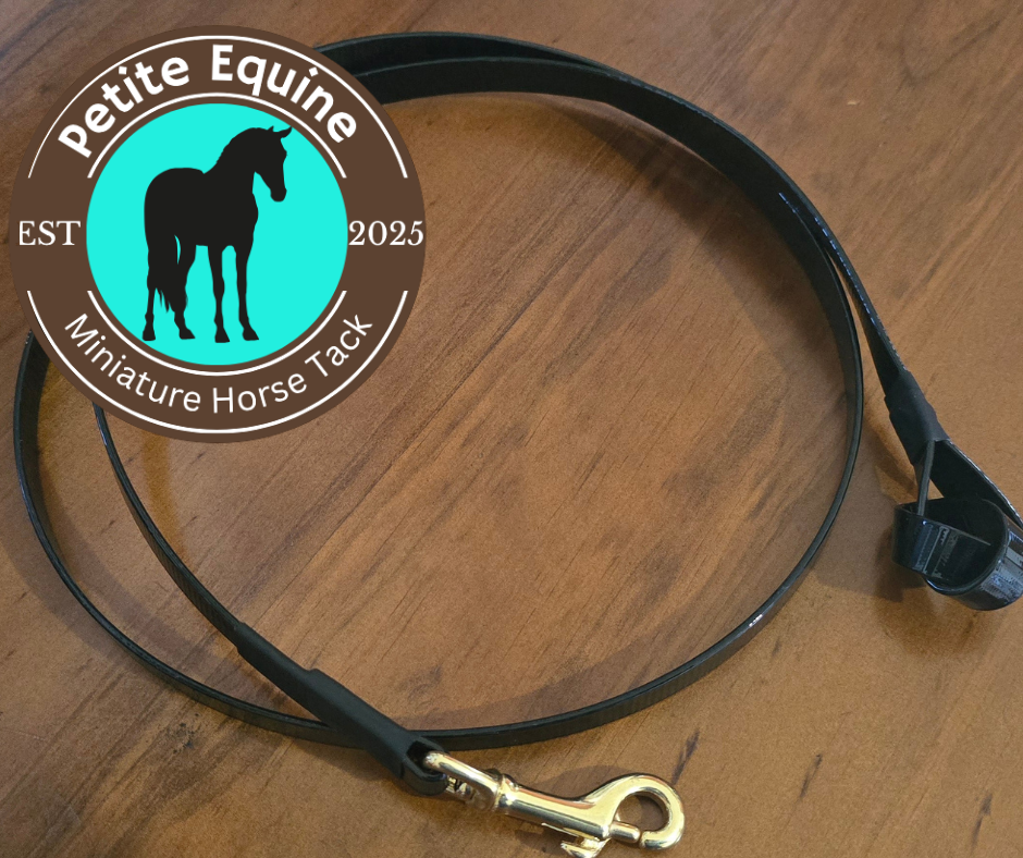 Petite Equine Show Lead Petite Equine