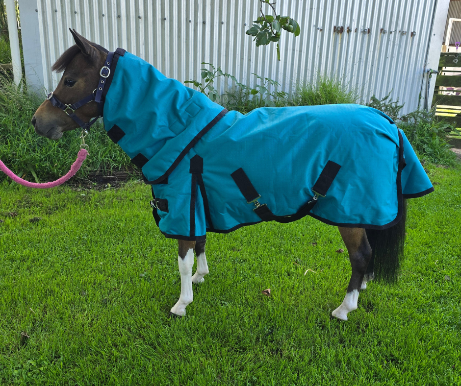 Stormbreaker Winter Rug 100gm Hurlford