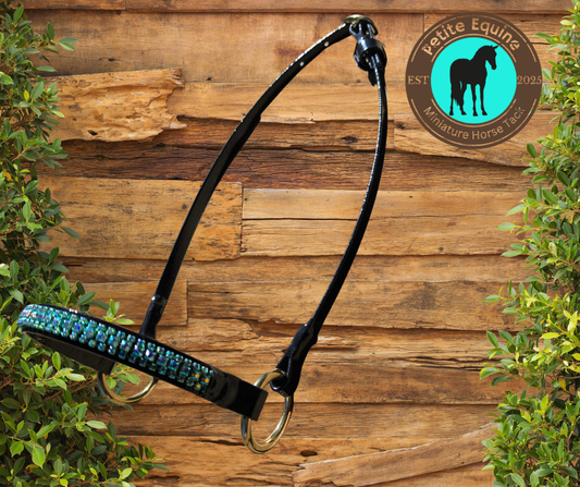 Crown Miniature Horse Show Halters - Aquamarine Petite Equine