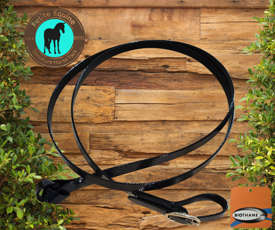 Petite Equine Show Lead- Medium With Buckle End Petite Equine