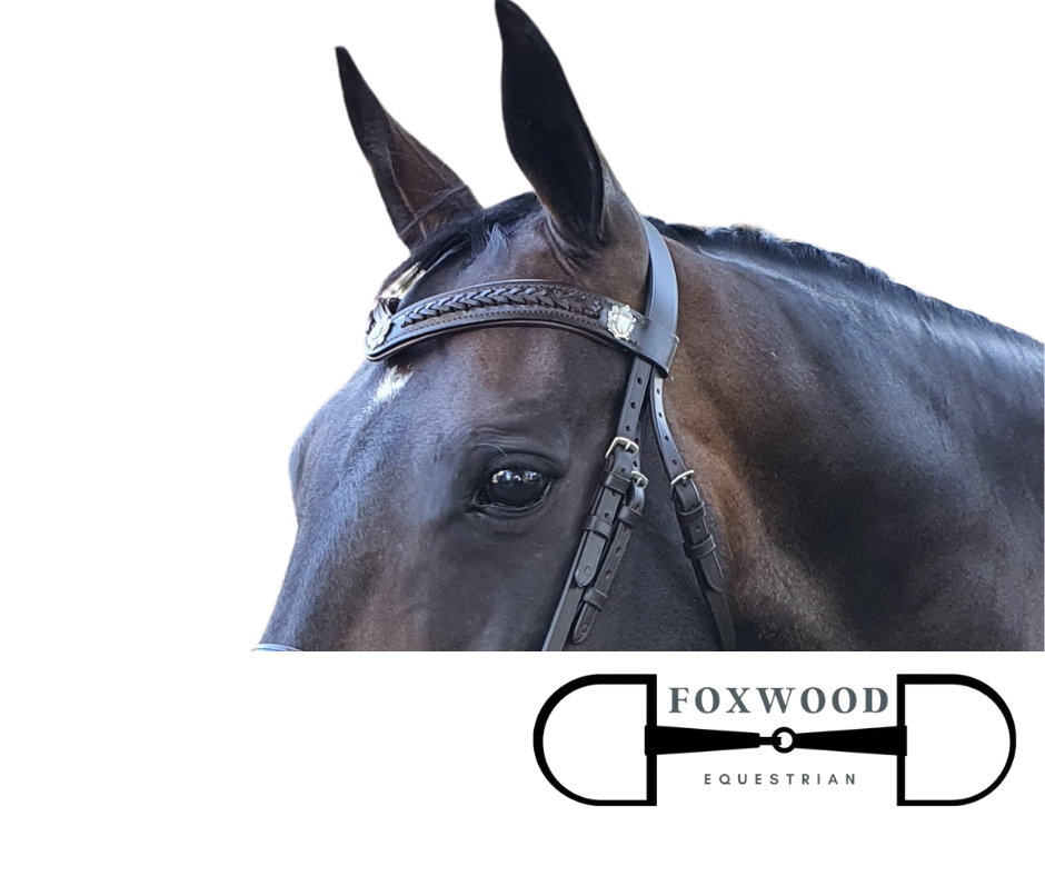 V Leather Browband- Pony Blue Tag