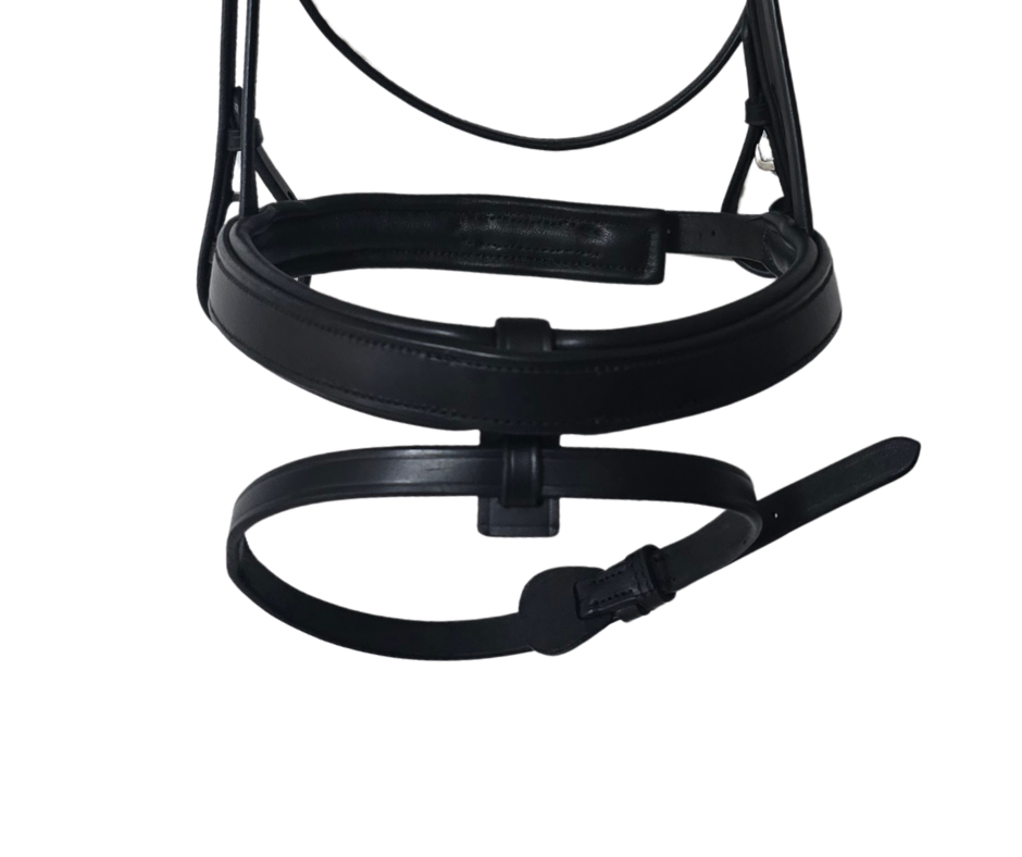 Caveson Noseband With Removeable Flash Strap| Black  Foxwood Equestrian | Showing Tack and Saddlery Store