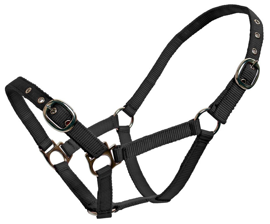 Blue Tag- Youngstock/ Small Pony Halters Blue Tag
