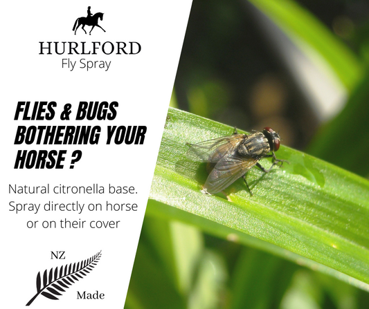 Hurlford Fly Spray