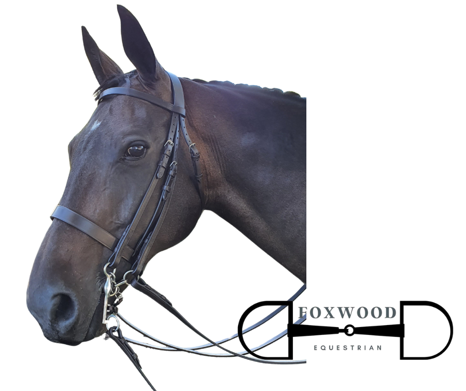 Hurlford Weymouth Bridle Foxwood Equestrian