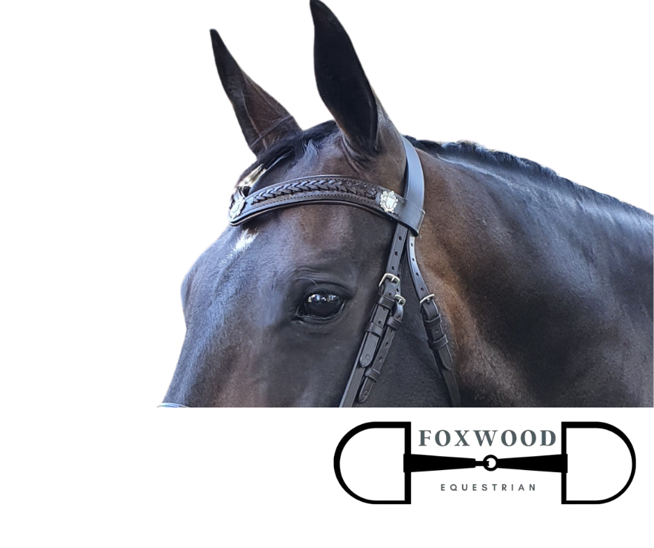 V Shape Browband With Conchos Foxwood Equestrian