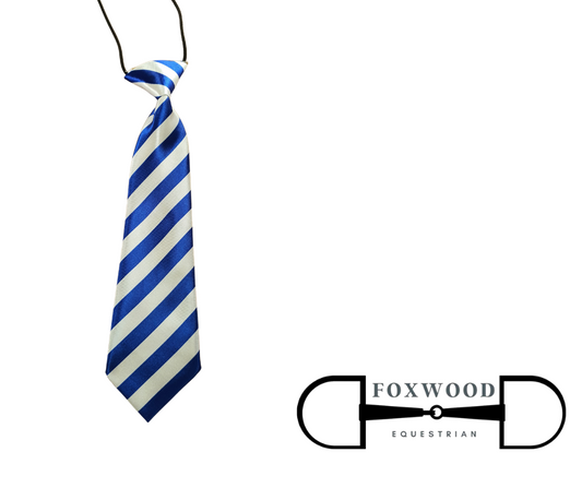 Child's Blue And White Striped Tie Foxwood Equestrian