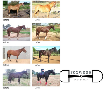 Horse Show Colour Kit Pony up to 14hh HSC