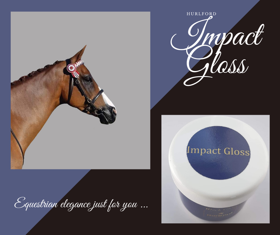 Impact Gloss Makeup - Hurlford Horse