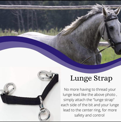 Lunge Strap- Black Foxwood Equestrian