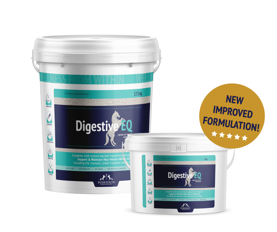 Digestive EQ Formula Poseidon Animal Health