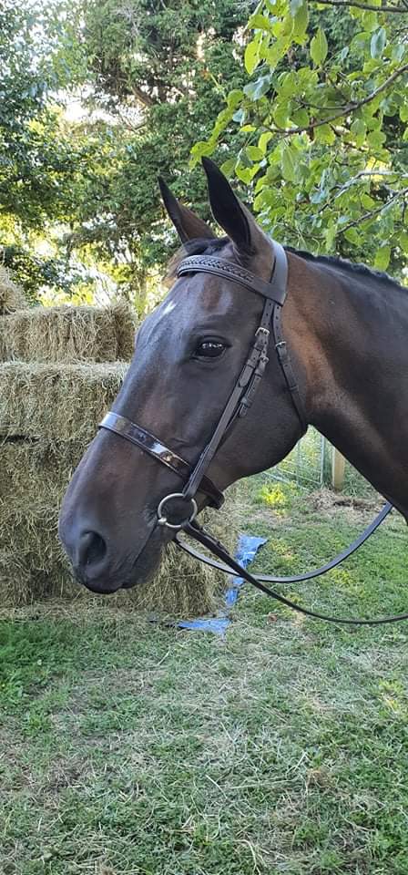 Patent Leather Noseband  - Hurlford Foxwood Equestrian